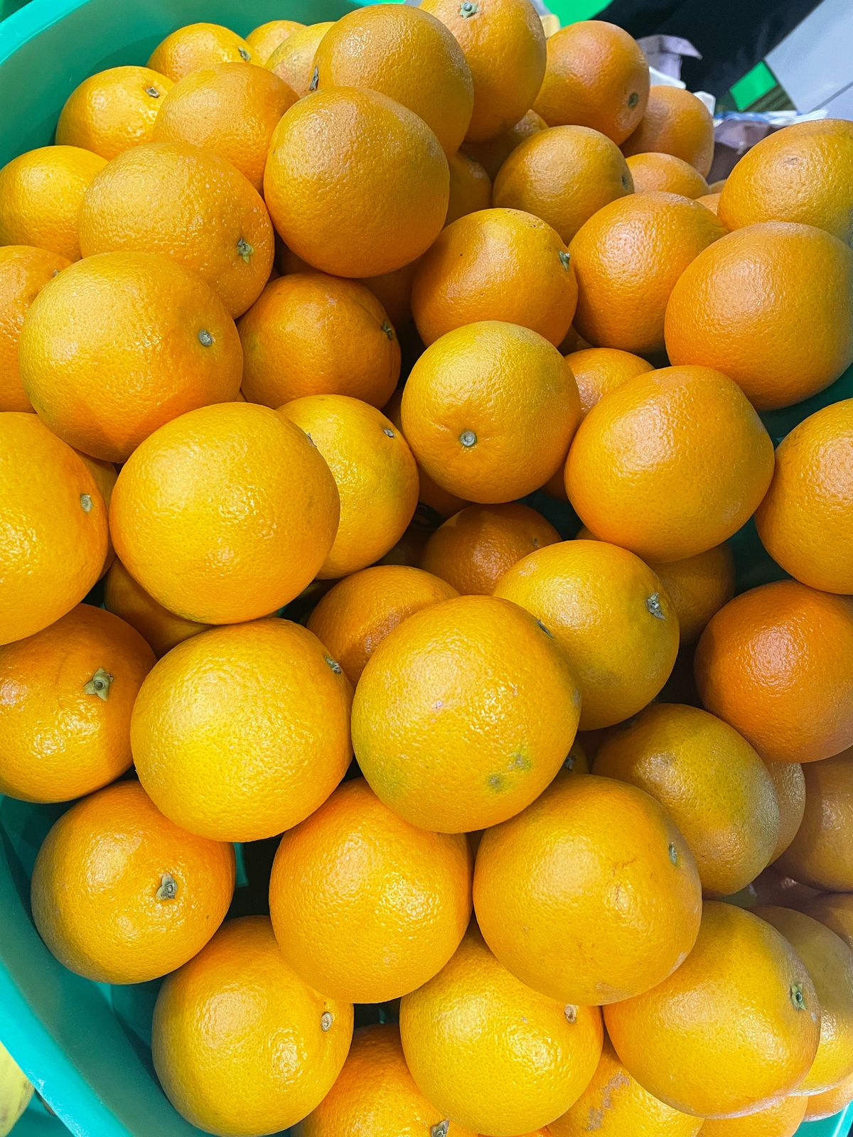 Fruits And Vegetables