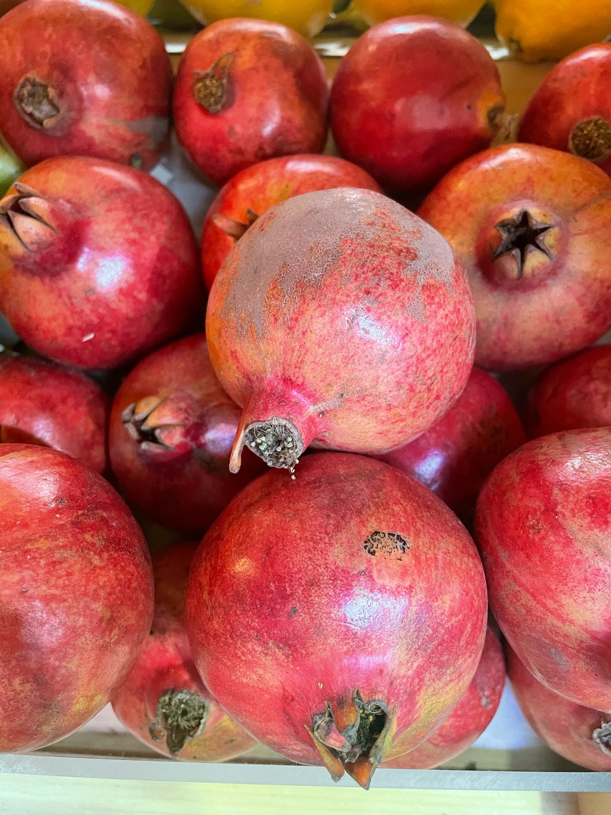 Fruits And Vegetables