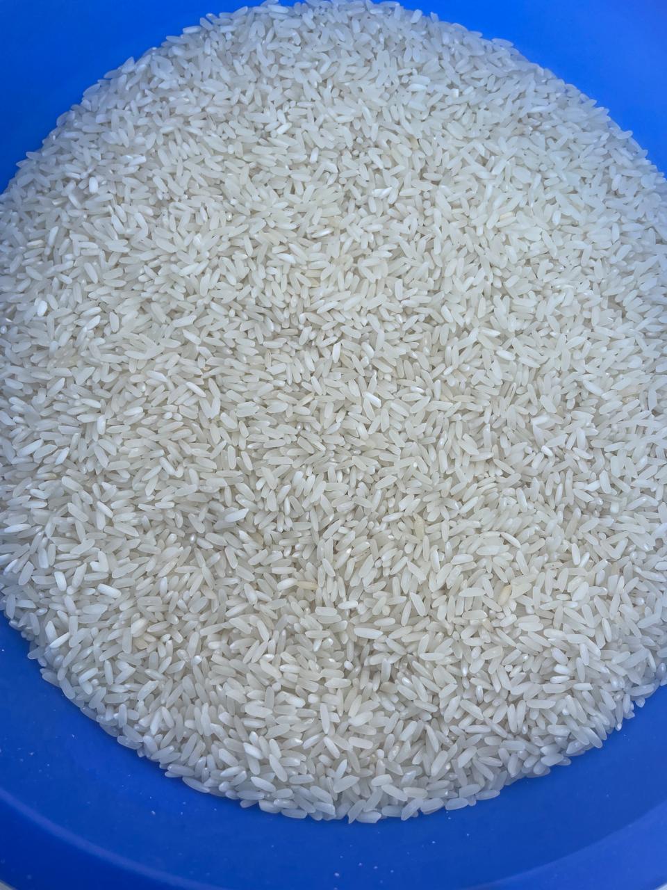 Rice Image 4
