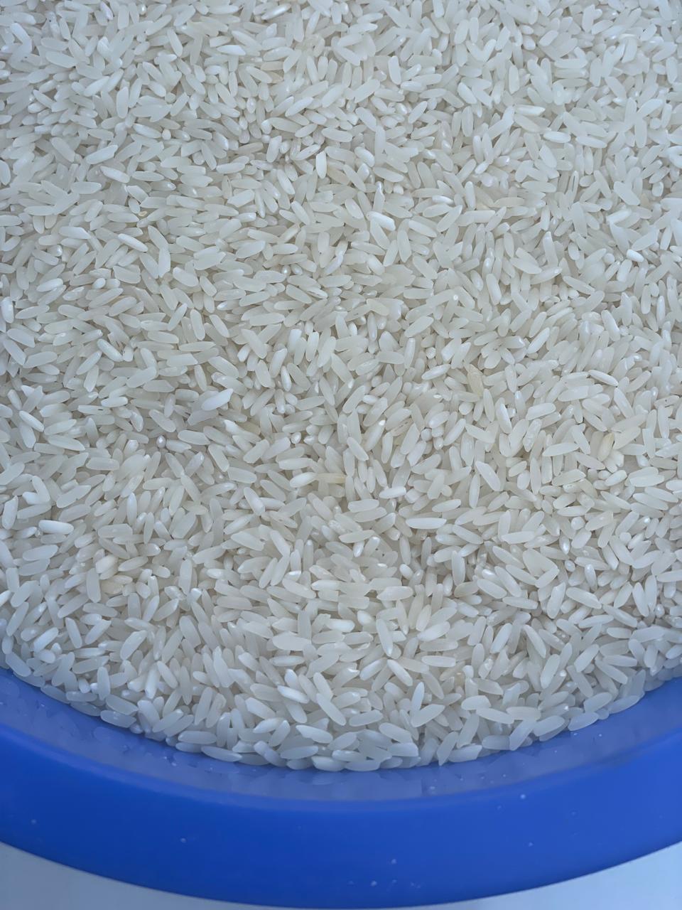 Rice Image 6