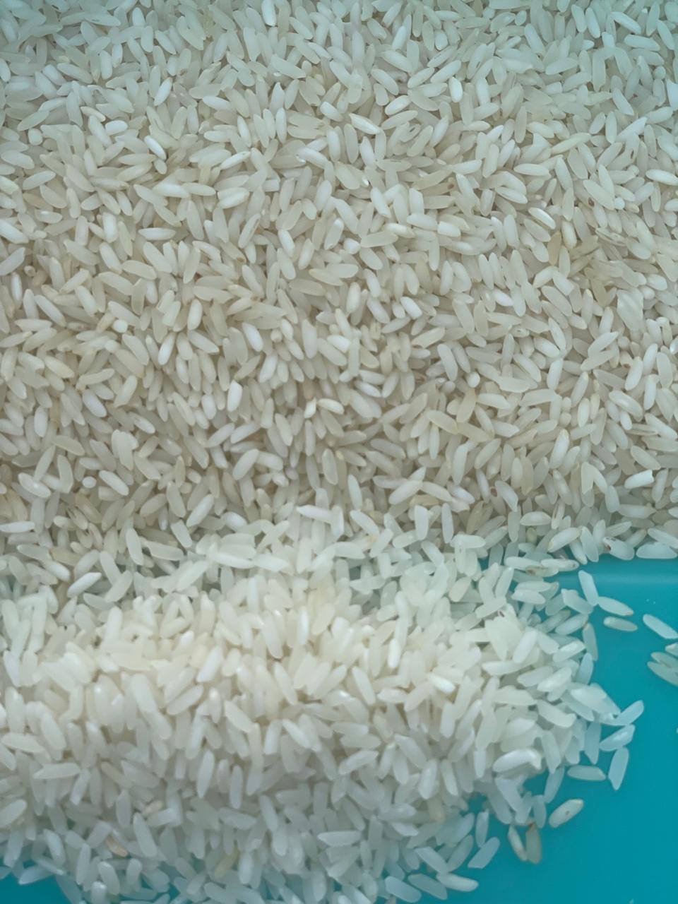 Rice Image 7